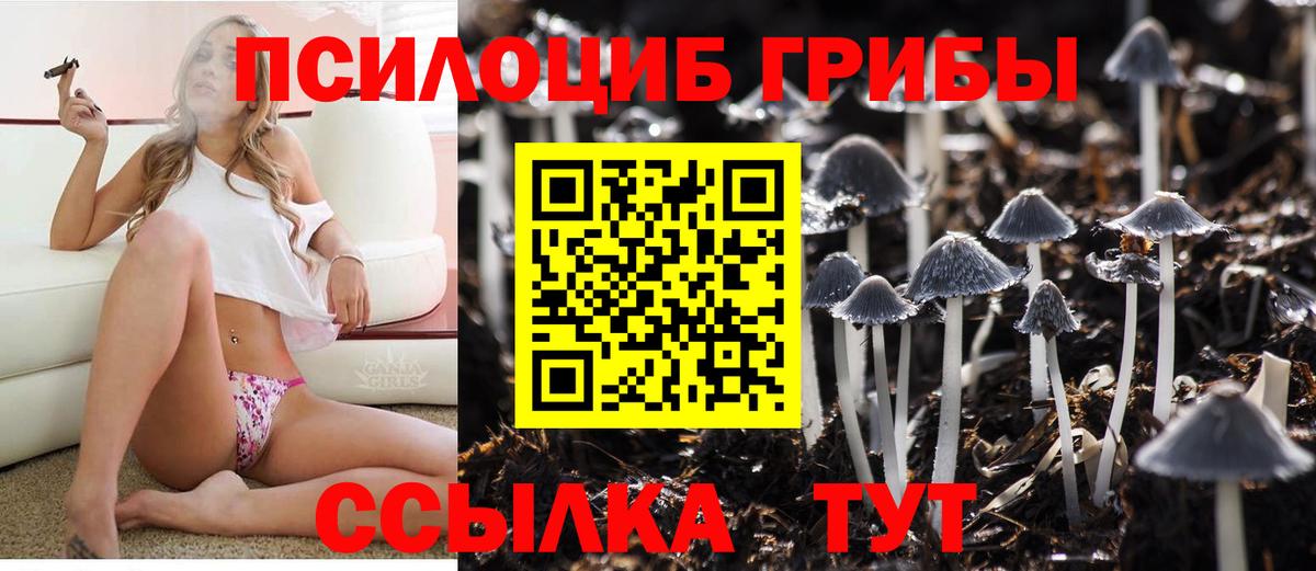 Ликино-Дулёво  наркотики  Вход с VPN  Галлюциногенные грибы мицелий 